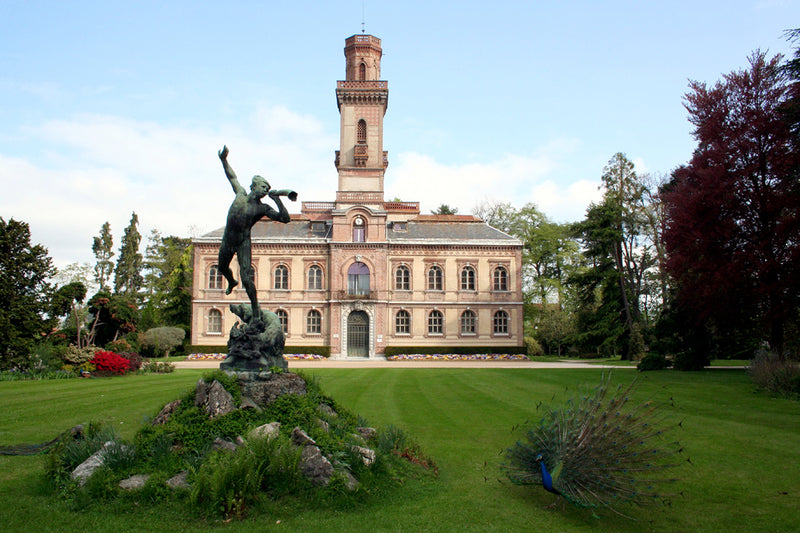 Jardin Massey, jardin remarquable au cœur de Tarbes