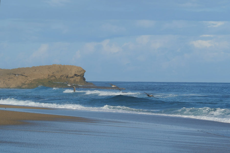Quand surfer sur la côte Atlantique
