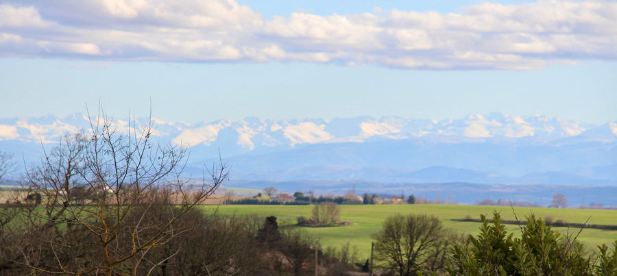 Tarbes en fin de semana: nuestro itinerario de 48 horas entre ciudad, caballos y aire libre