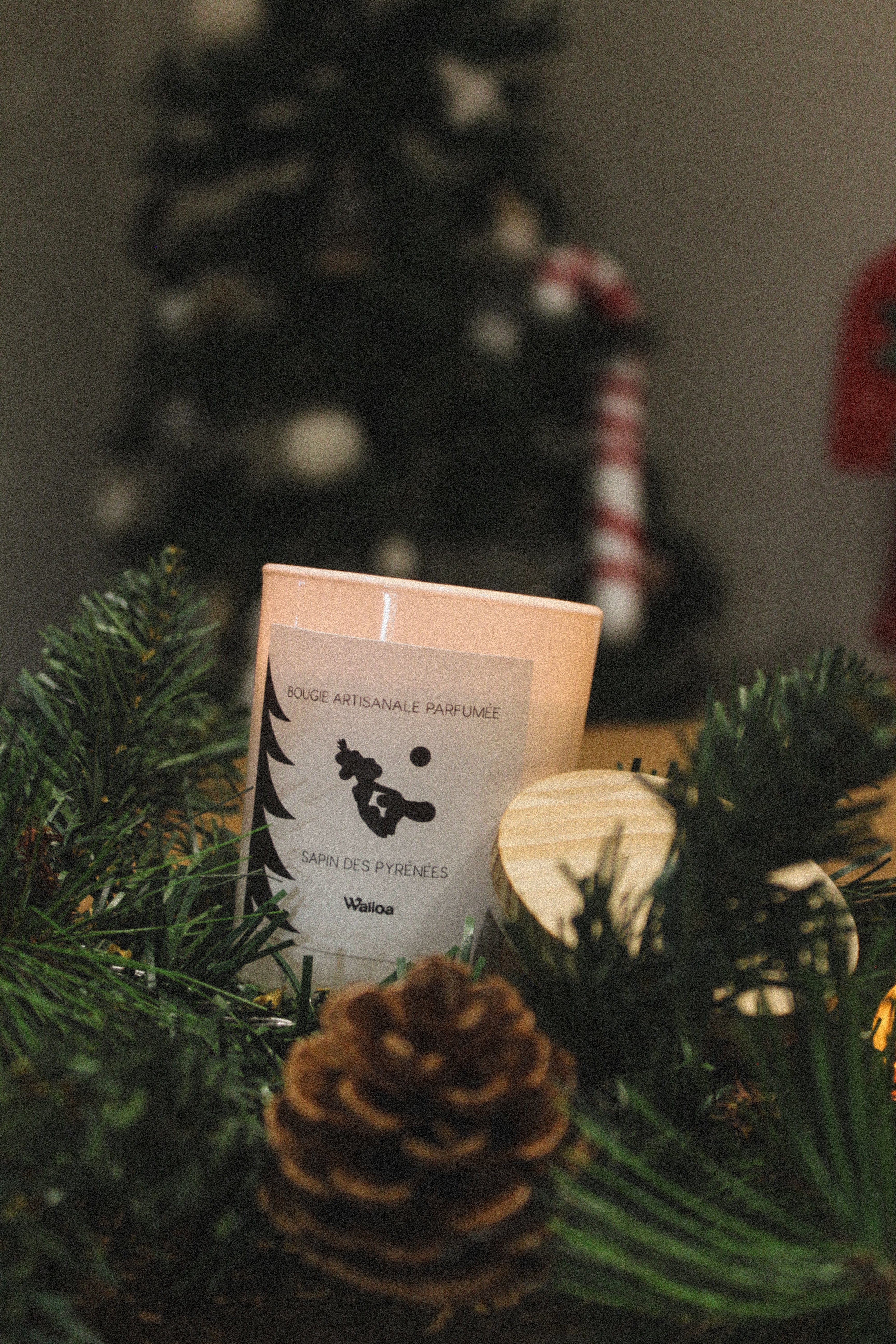 ÉDITION LIMITÉE : Bougie artisanale parfumée – Sapin des Pyrénées