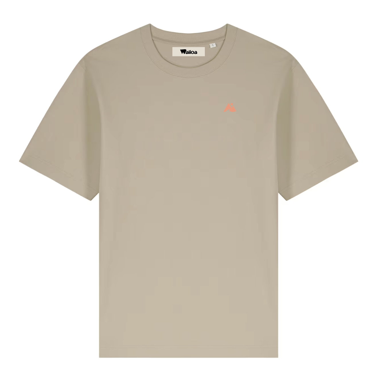 PRÉCOMMANDE : T-shirt oversize All you need is adventure marron Waïloa