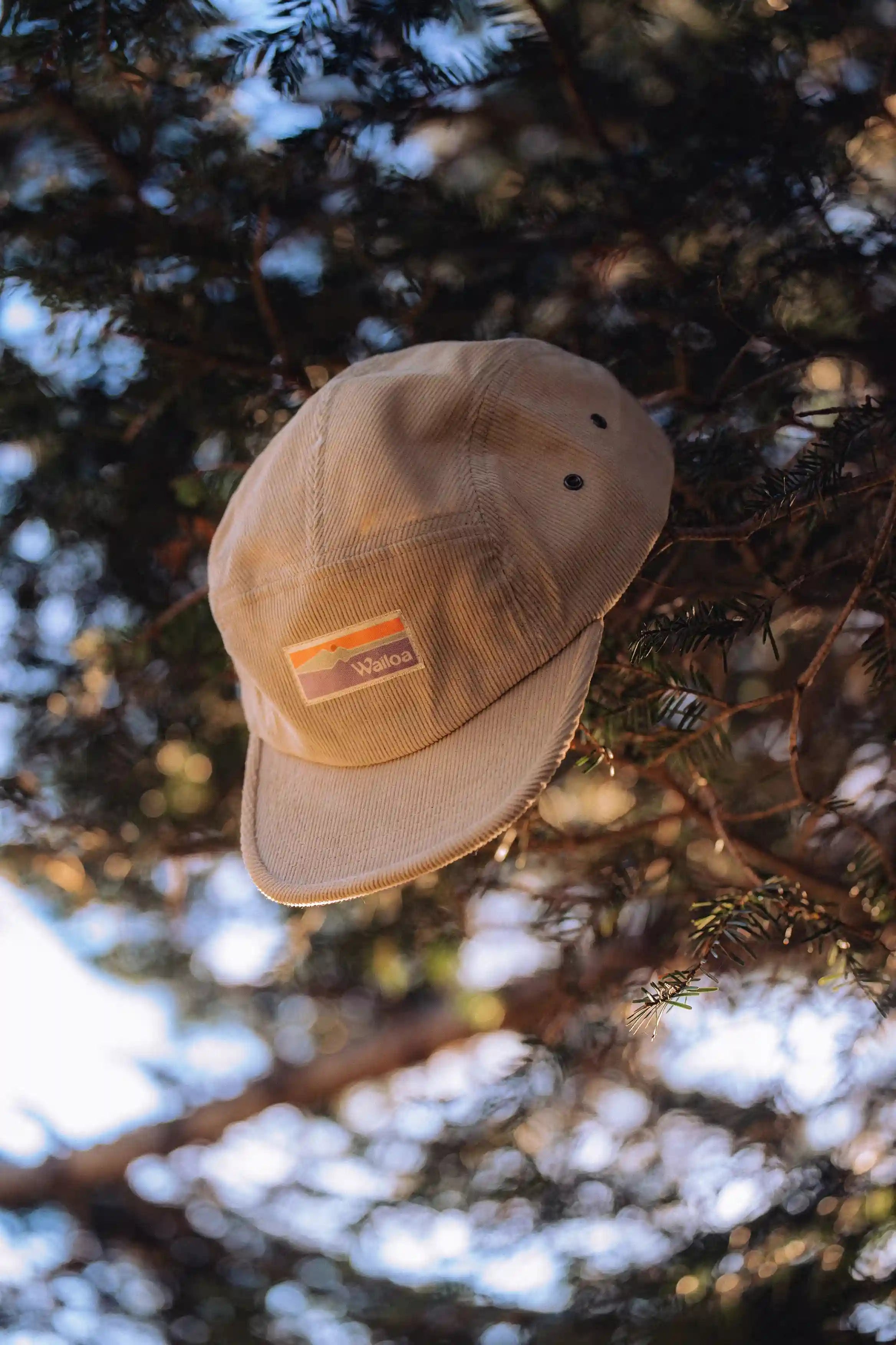 Casquette plate Golden velours côtelé – Waïloa
