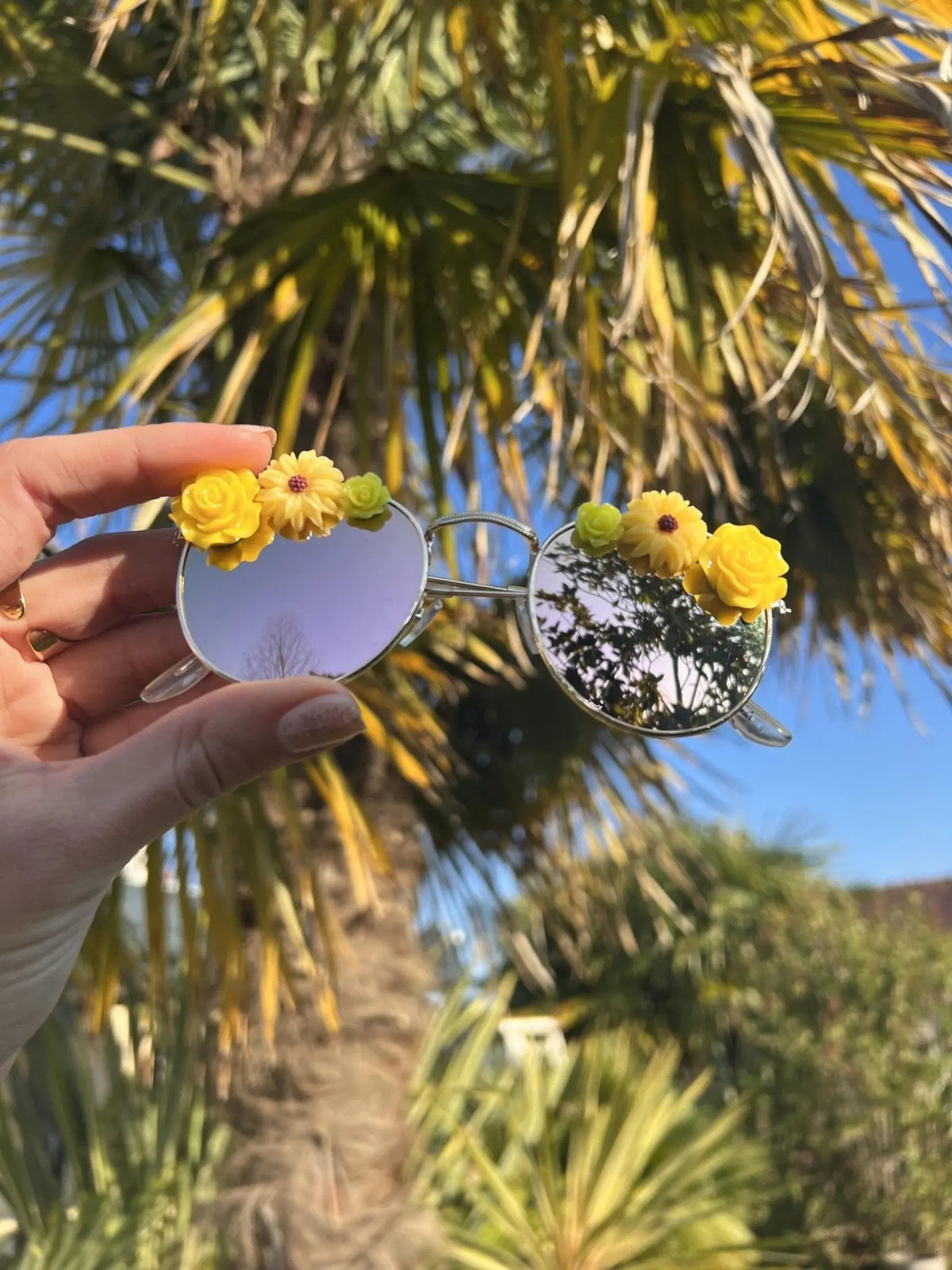 Lunettes de soleil Santa Rosa – Waïloa (vue 2)